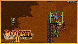 WarCraft 2 | 14 | Aus der Luft ausgekundschaftet 